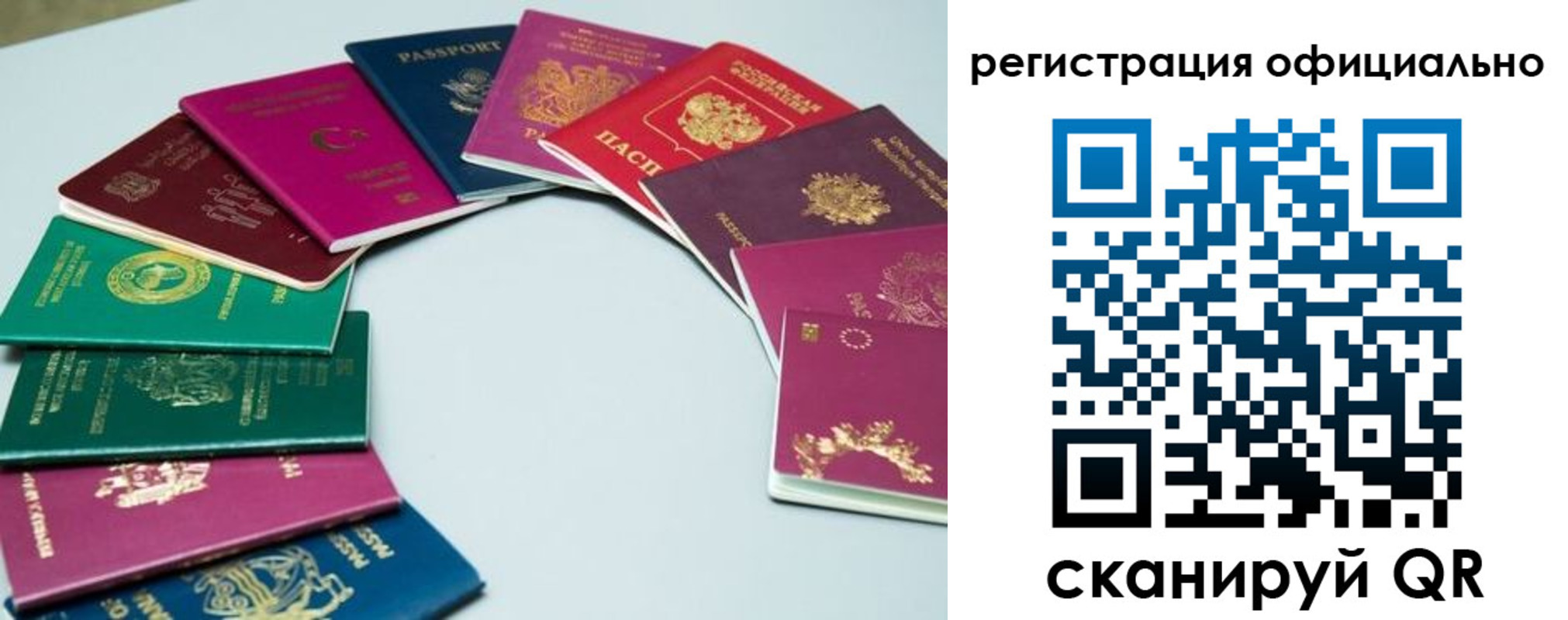 регистрация в Алексине